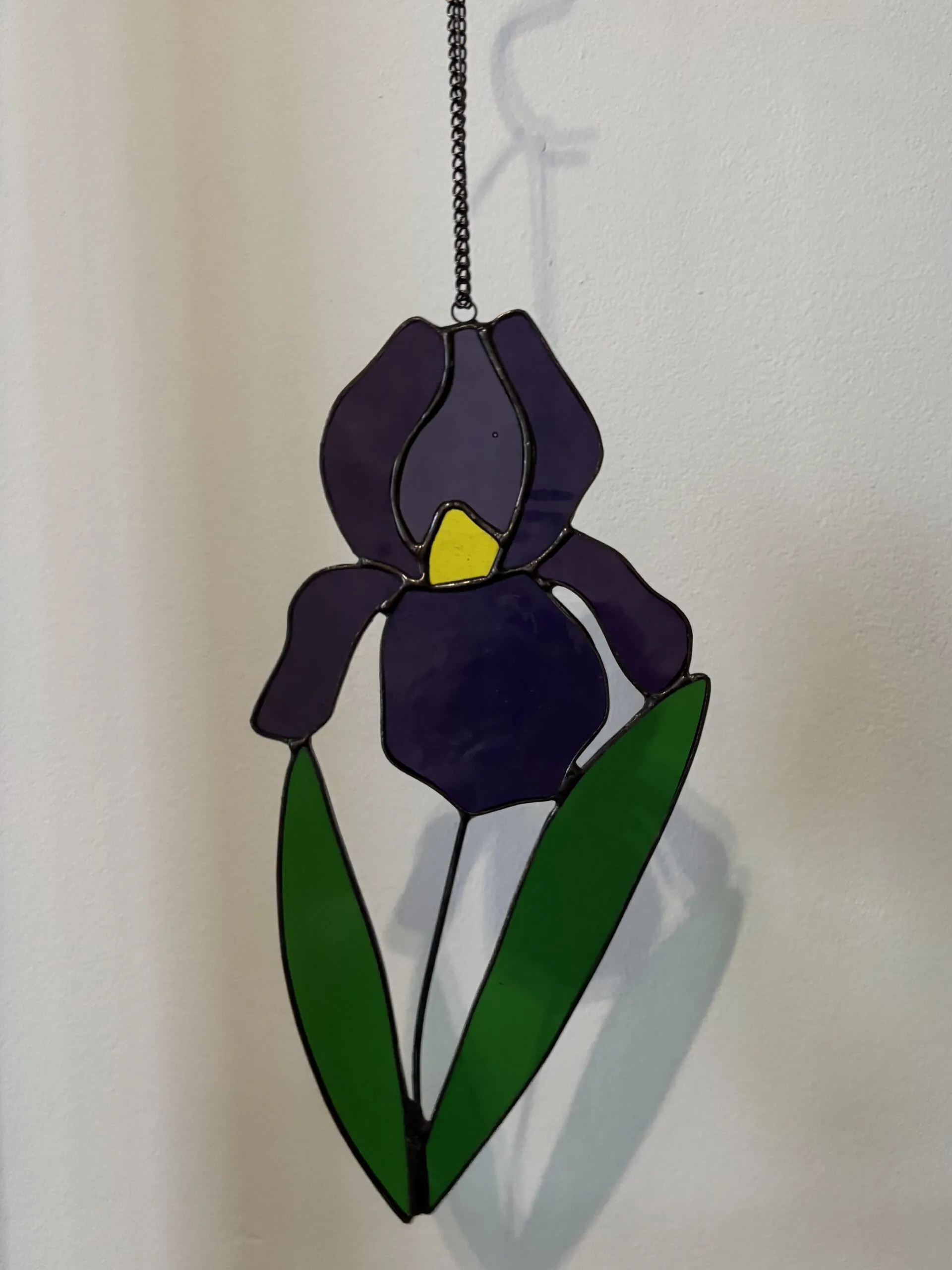 Glas in lood hanger: een paarse iris met licht groene bladeren.