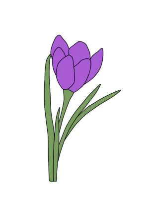 Ontwerp voor glas in lood krokus.