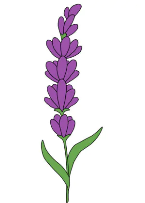 Ontwerp voor glas in lood lavendel.