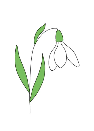 Ontwerp voor glas in lood sneeuwklokje.