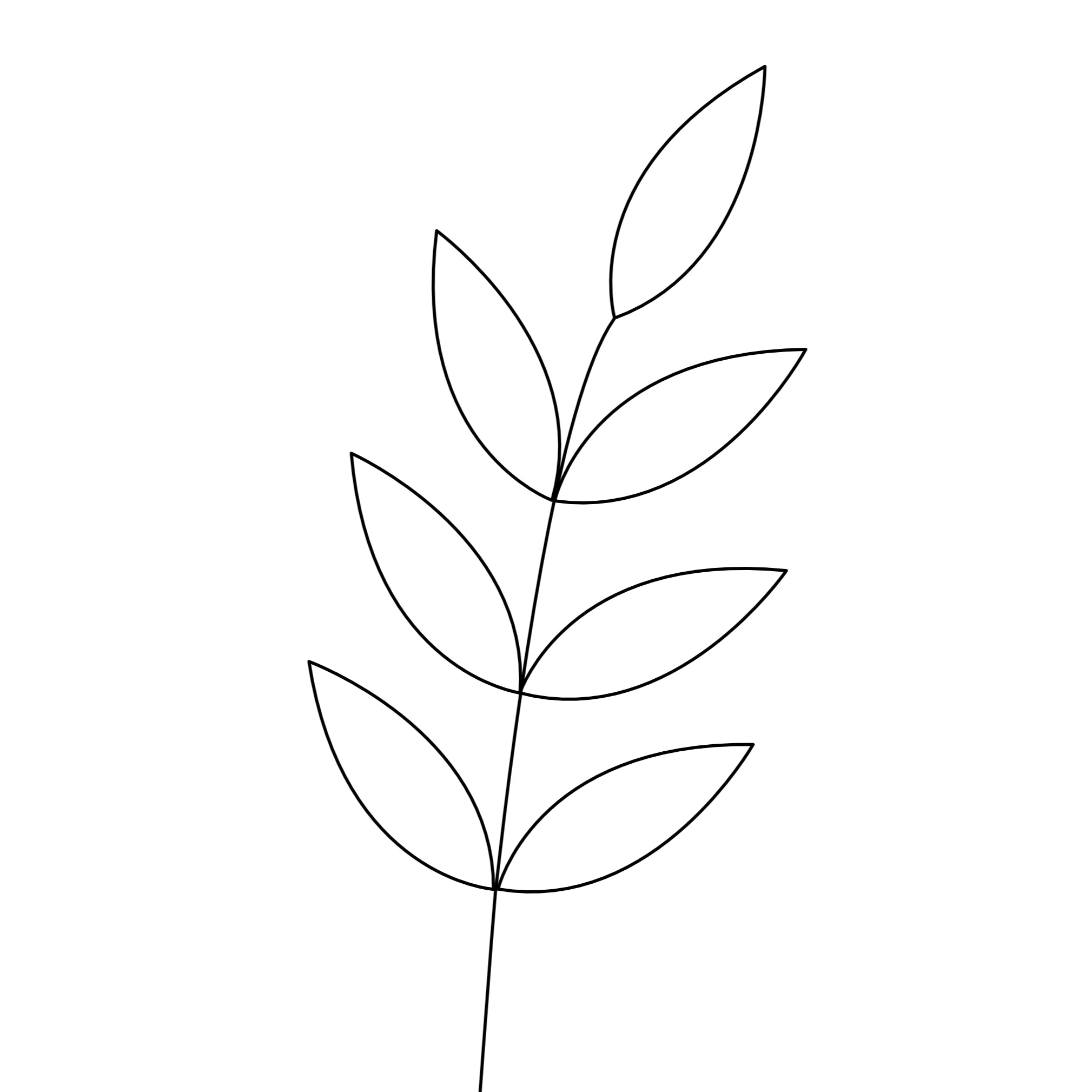 Ontwerpen voor workshop - 7 blad tak