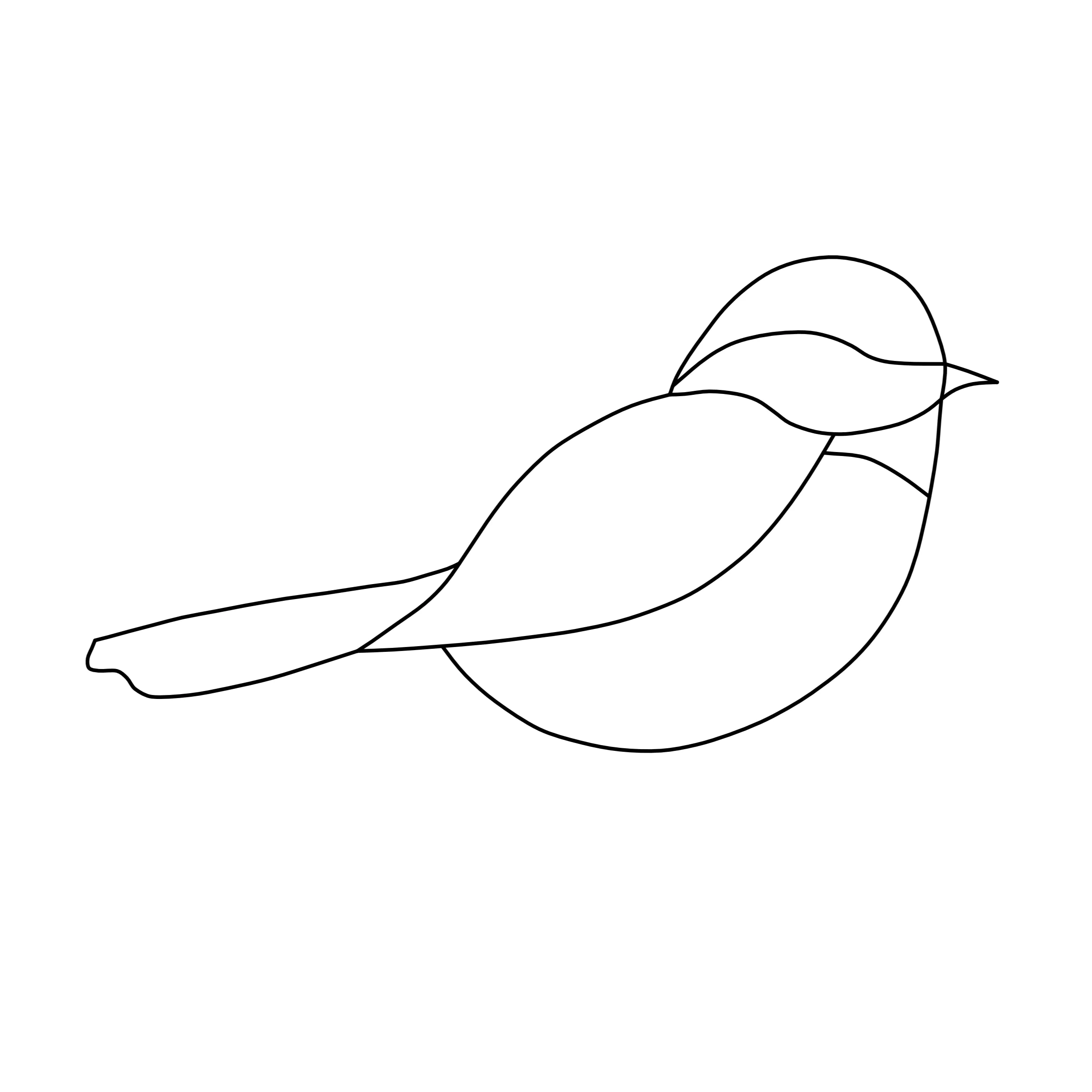 Ontwerpen voor workshop - koolmeesje