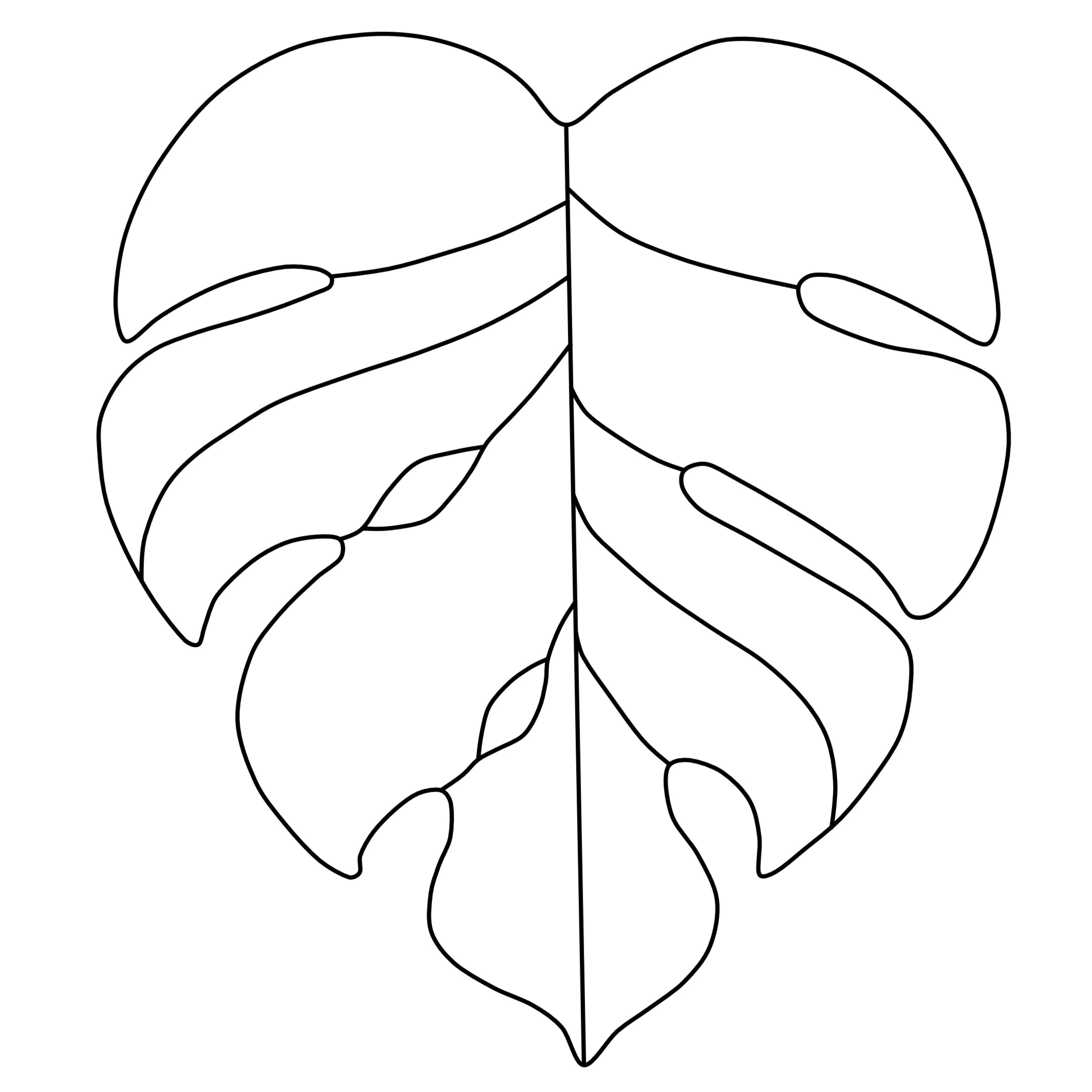 Ontwerpen voor workshop - monstera